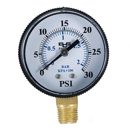 AMERICAN GRANBY American Granby EIPPG302-4L 0 - 30 Pressure Gauge - 0.25 In. 30